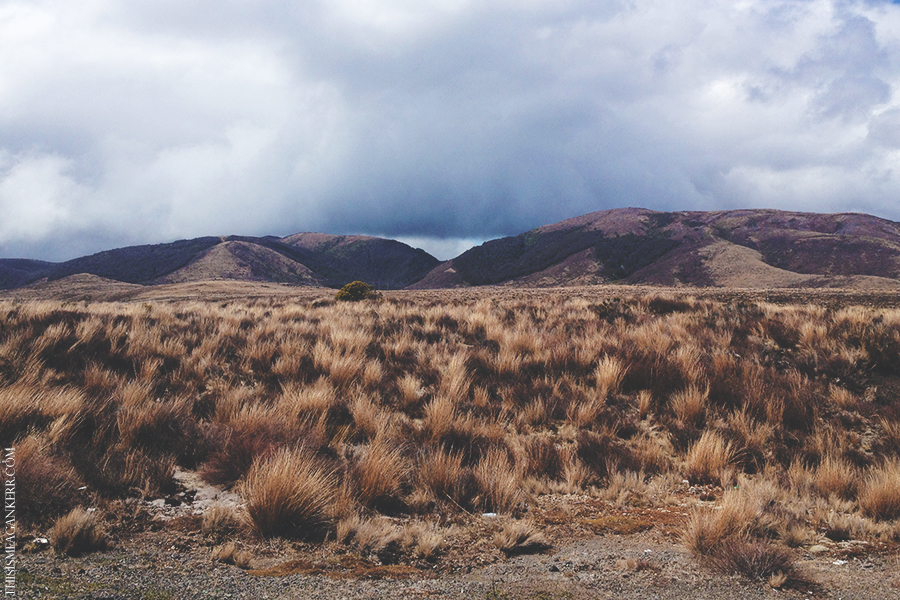 Waiouru Military Area, Desert Road 