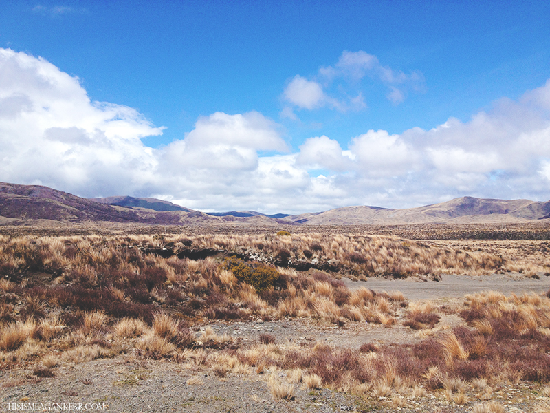 Waiouru Military Area, Desert Road 