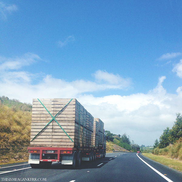 Stuck behind a truck on State Highway 1