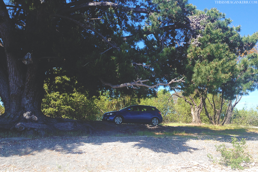 My trusty Kia Cerato, chilling out under the trees at Five Mile Bay
