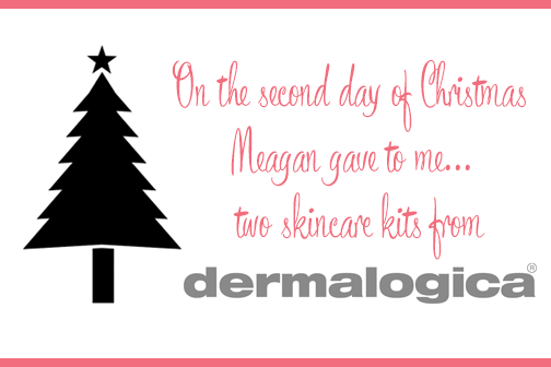 On the second day of Christmas, Meagan gave to me... Dermalogica skincare kits for me and a friend