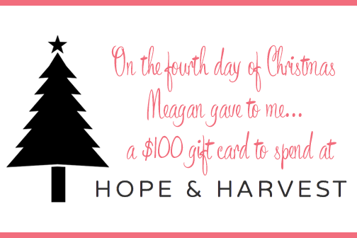 On the first day of Christmas, Meagan gave to me... a $100 gift card to spend at Hope & Harvest