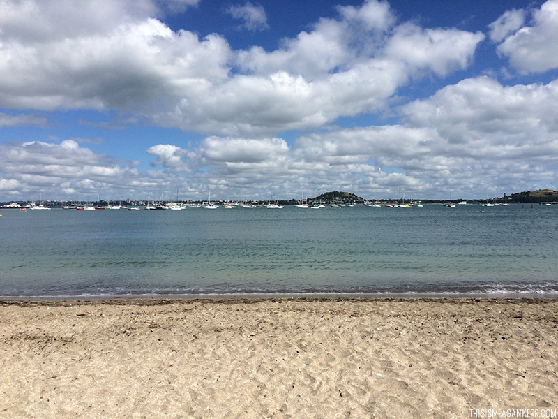 Okahu Bay Auckland