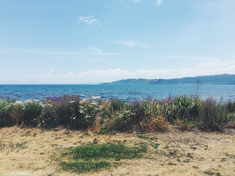 Wharewaka Point Lake Taupo New Zealand