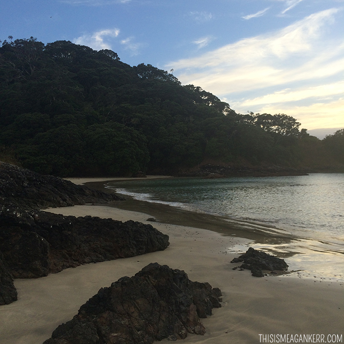 Matai Bay Northland