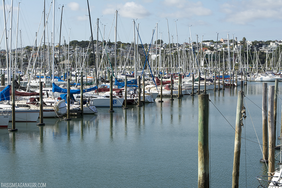 Boats moored at Westhaven Marina, Auckland Harbour