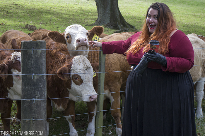 Meagan Kerr with cows at Maungakiekie Cornwall Park