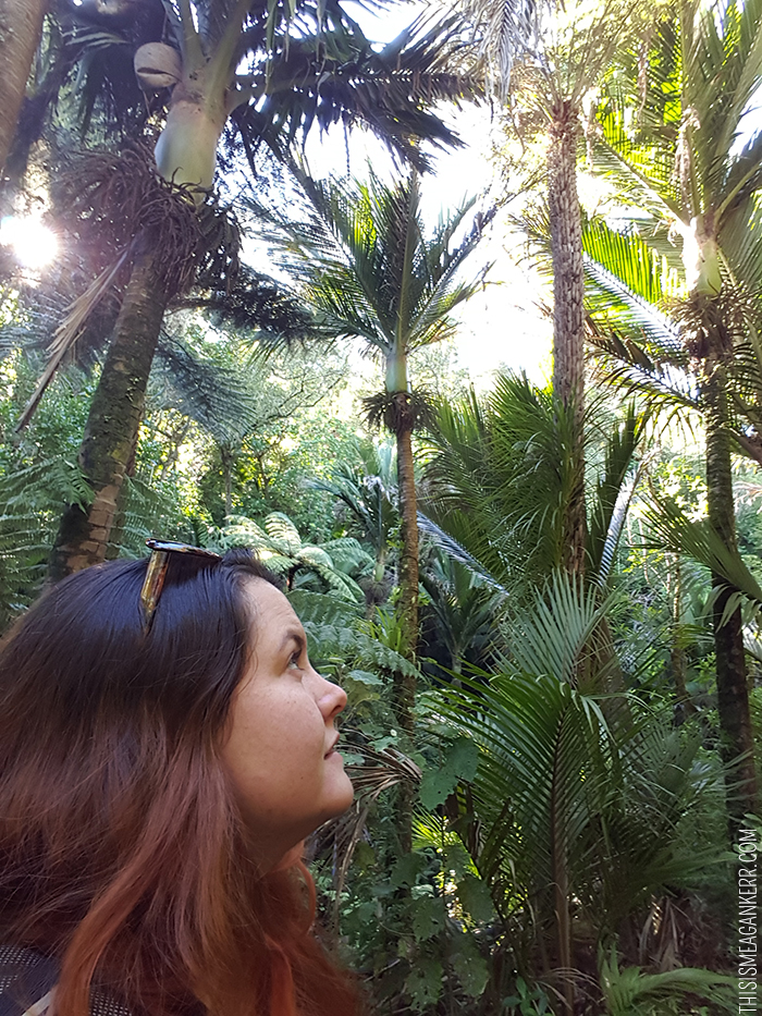 Meagan Kerr exploring native New Zealand bush