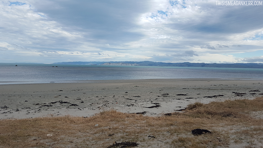 Poverty Bay from Kaiti Beach in Gisborne, New Zealand