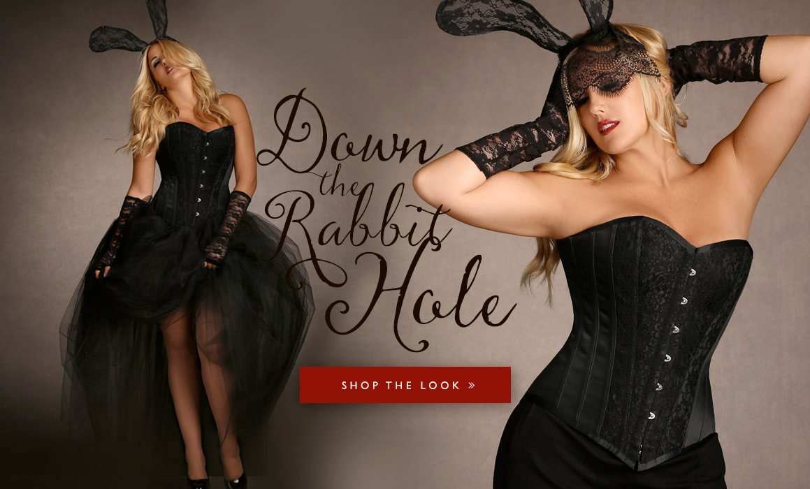 Plus size Halloween costumes - Lace Bunny