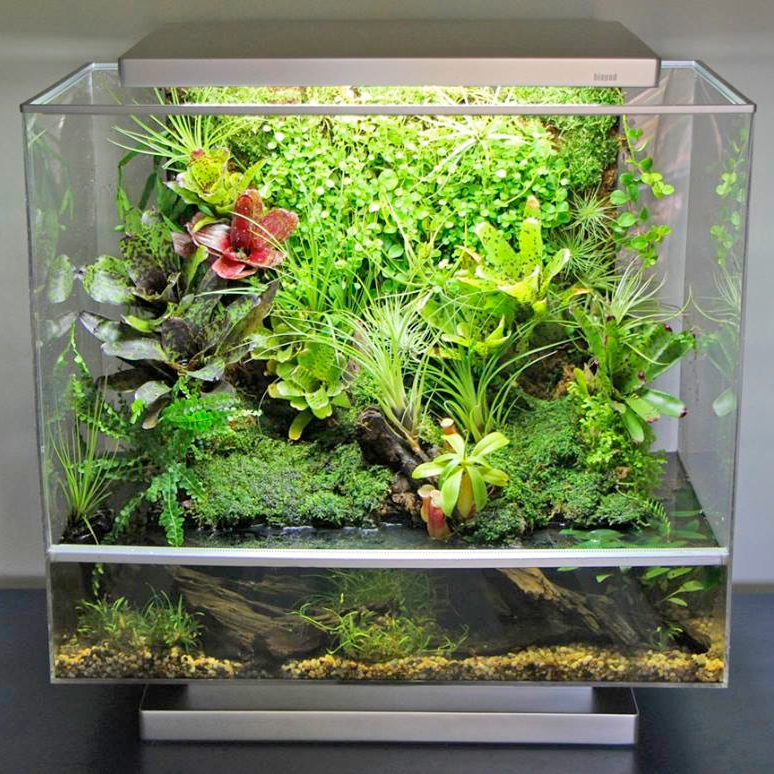 The Ultimate Christmas Gift Guide for Guys // BioPod