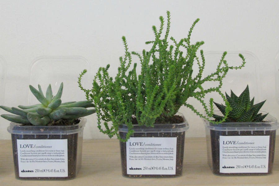 davines sustainable plant pots