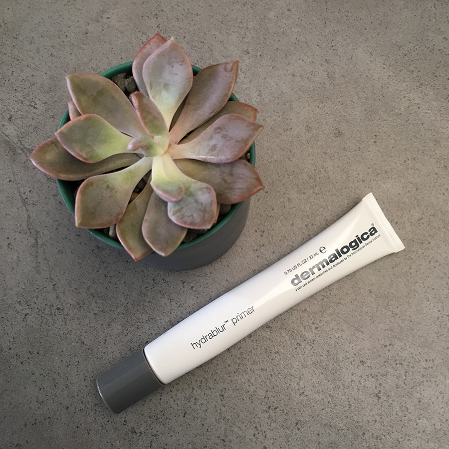 This is Meagan Kerr 12 Days of Christmas Giveaway - Dermalogica Hydrablur Primer