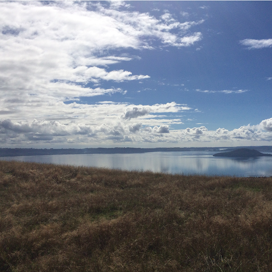 2015 in review: looking out over the lake in Rotorua