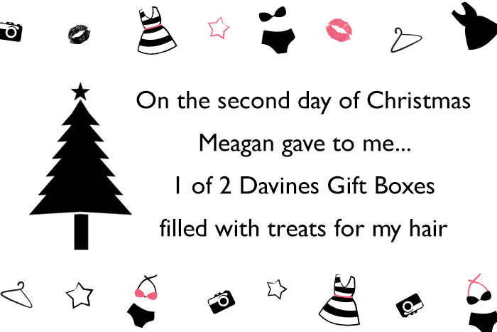 This is Meagan Kerr 12 Days of Christmas Giveaway - Davines OI Gift Box
