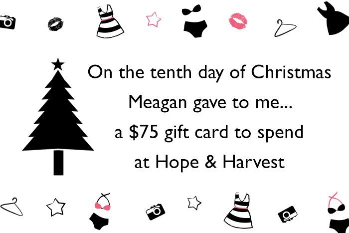 This is Meagan Kerr 12 Days of Christmas Giveaway - Hope and Harvest Gift Card