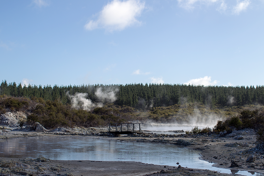 Relaxing things to do in Rotorua: check out the bubbling mud pools and geysers at Hell's Gate