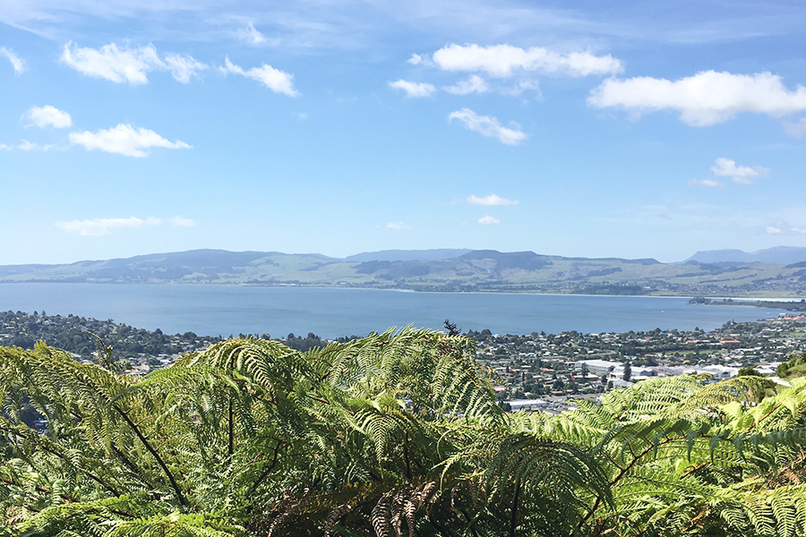 Relaxing things to do in Rotorua: take the Skyline Gondola up Mt Ngongotaha for great views of Lake Rotorua