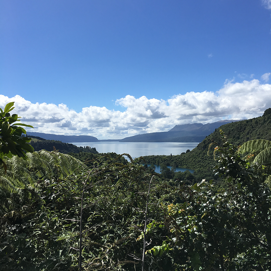 Relaxing things to do in Rotorua: visit Lake Tarawera