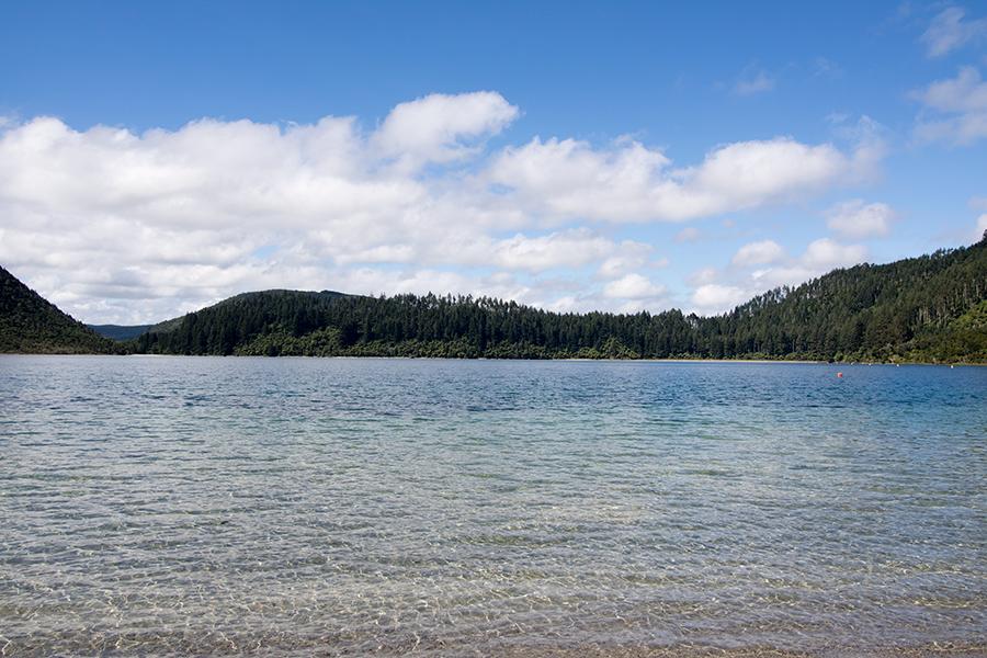 Relaxing things to do in Rotorua: see The Blue Lake with Rotorua Duck Tours