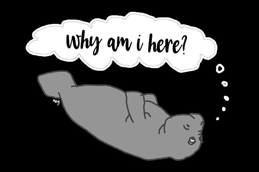 Me as a manatee inside a sensory deprivation float pod by Meagan Kerr