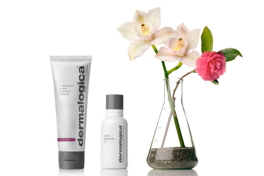 Dermalogica multivitamin power recovery masque and phyto replenish oil