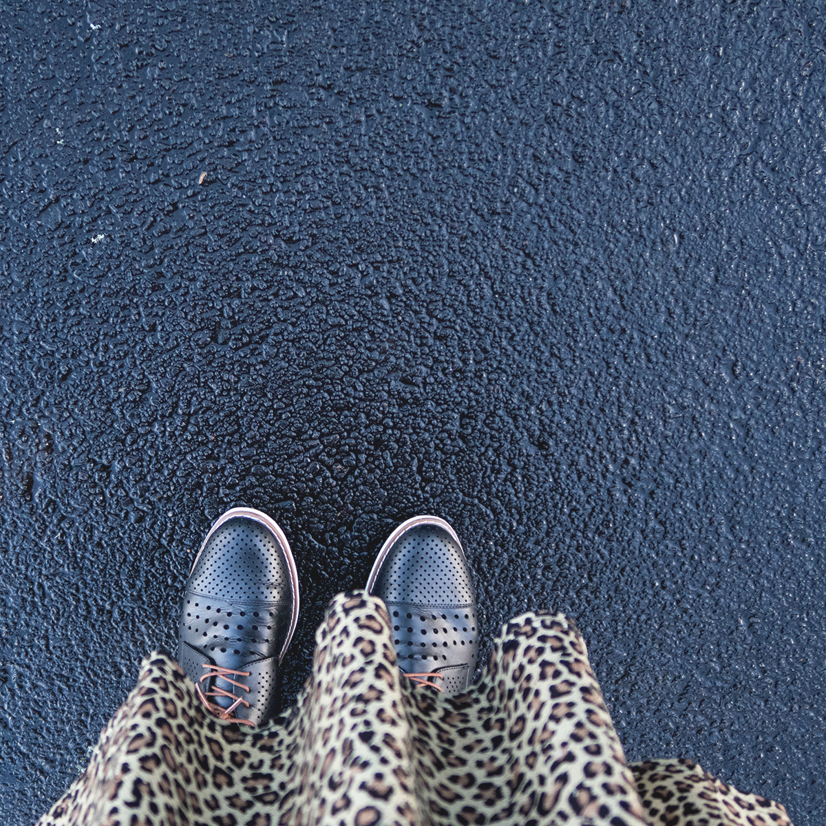 New Zealand plus size fashion blogger Meagan Kerr wears Lady Voluptuous Lyra Dress in leopard print, exclusive to Two Lippy Ladies and Emerge Anaheim Cut-out Lace Up Court Flat from EziBuy