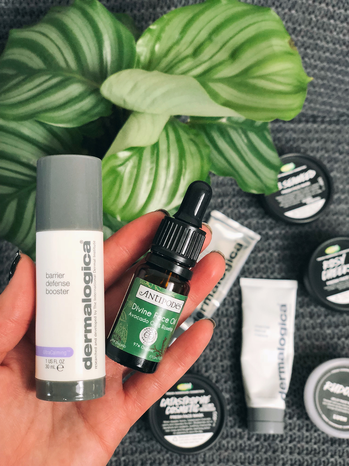Skincare Routine for Dry and Sensitive Skin: Dermalogica Barrier Defense Booster in the morning and Antipodes Organic Divine Face Oil in the evening