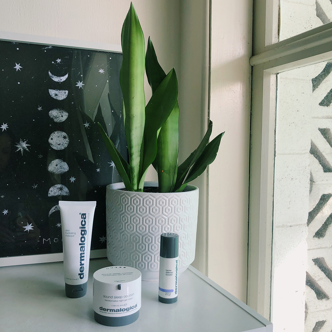 Meagan's nightstand with a moon print at the back and a moonshine sansevieria in a patterned white pot, with Dermalogica Skin Hydrating Masque, Dermalogica Barrier Defense Booster and Dermalogica Sound Sleep Cocoon in the foreground.
