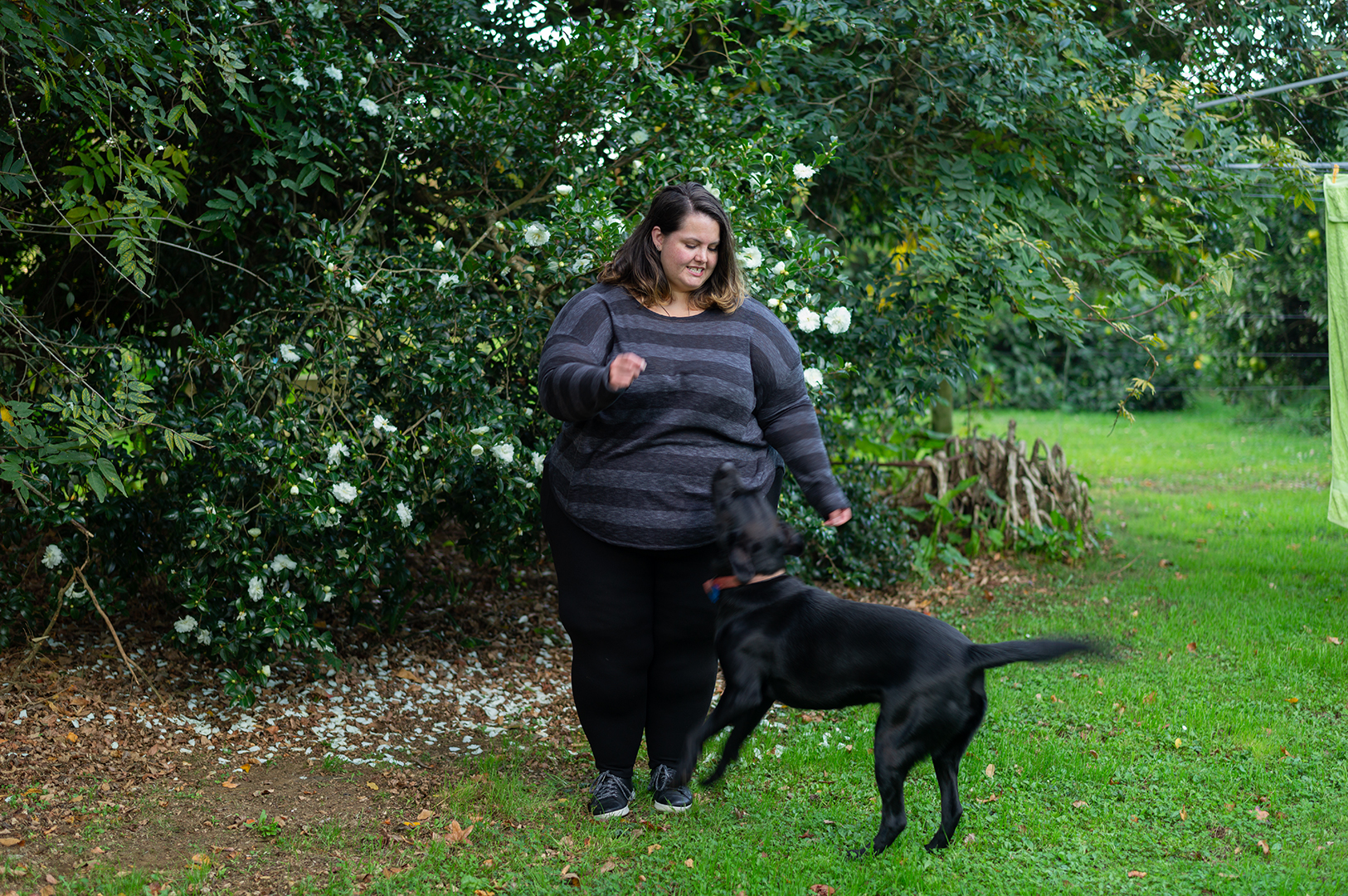 New Zealand plus size blogger Meagan Kerr is standing in a lush green garden in front of a camellia bush with a black Labrador Retriever. She wears 17 Sundays Slub Knit Top in XL, Snag Tights Leggings in H and Ziera Shoes DANNI sneakers in 8