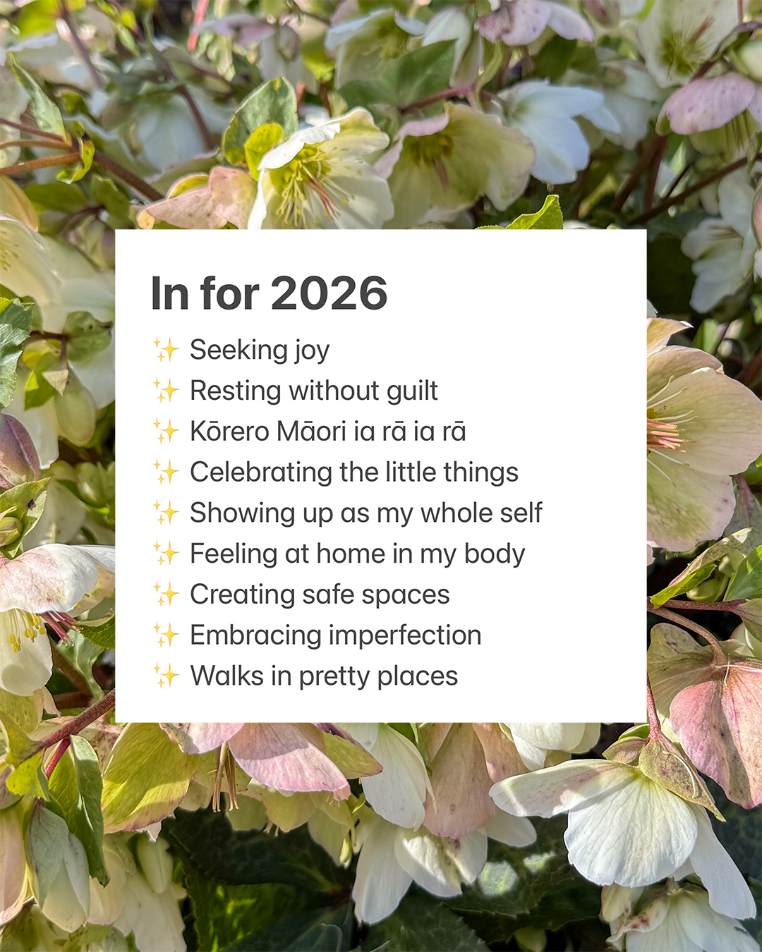 A list of Meagan's ins for 2026: Seeking joy Resting without guilt Kōrero Māori ia rā ia rā Celebrating the little things Showing up as my whole self Feeling at home in my body Creating safe spaces Embracing imperfection Walks in pretty places